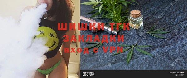 дмт Богородицк