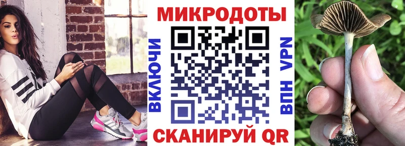 Псилоцибиновые грибы Psilocybine cubensis  Катав-Ивановск 